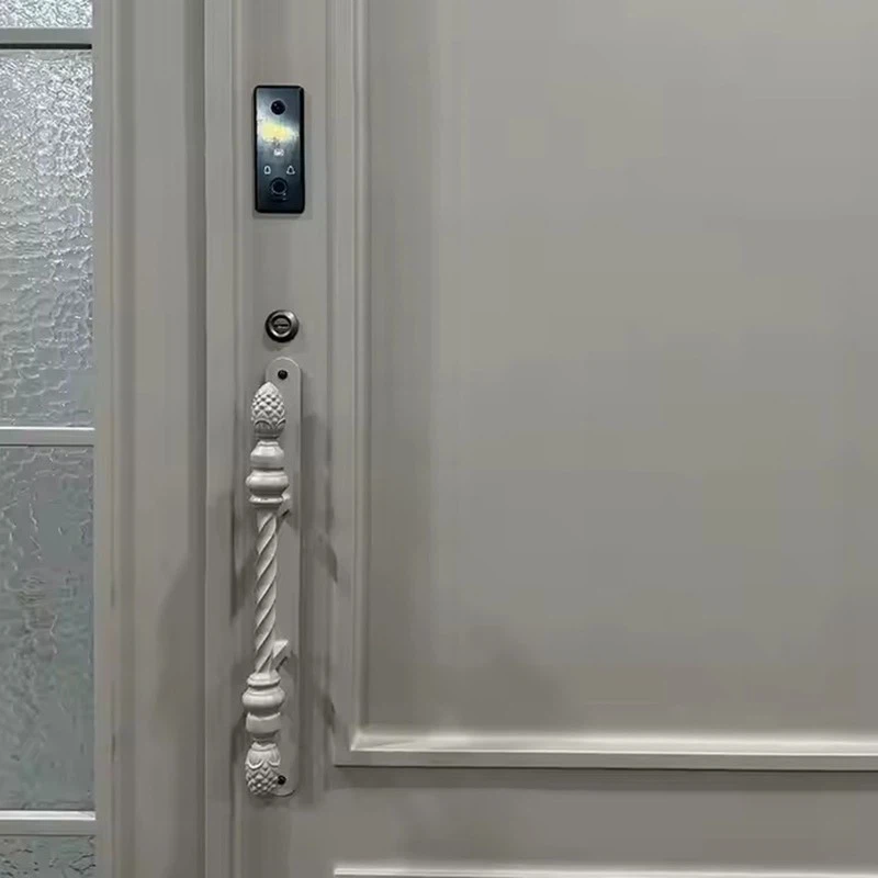 Wrought Iron Security Doors